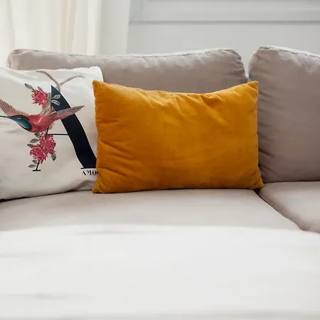 Cozy Nest نيكيتي