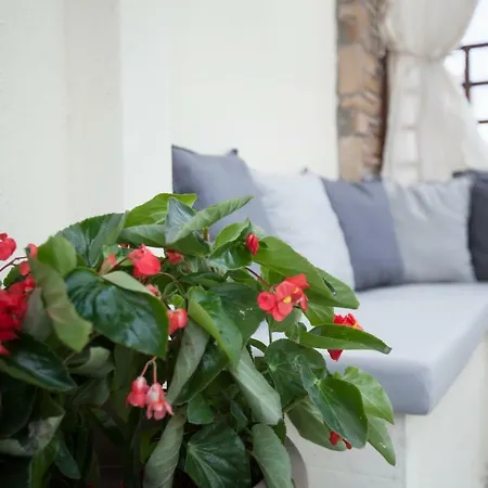 Cozy Nest بيت للعطل نيكيتي