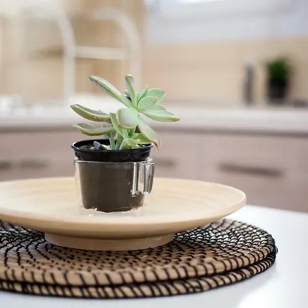 بيت للعطل Cozy Nest *